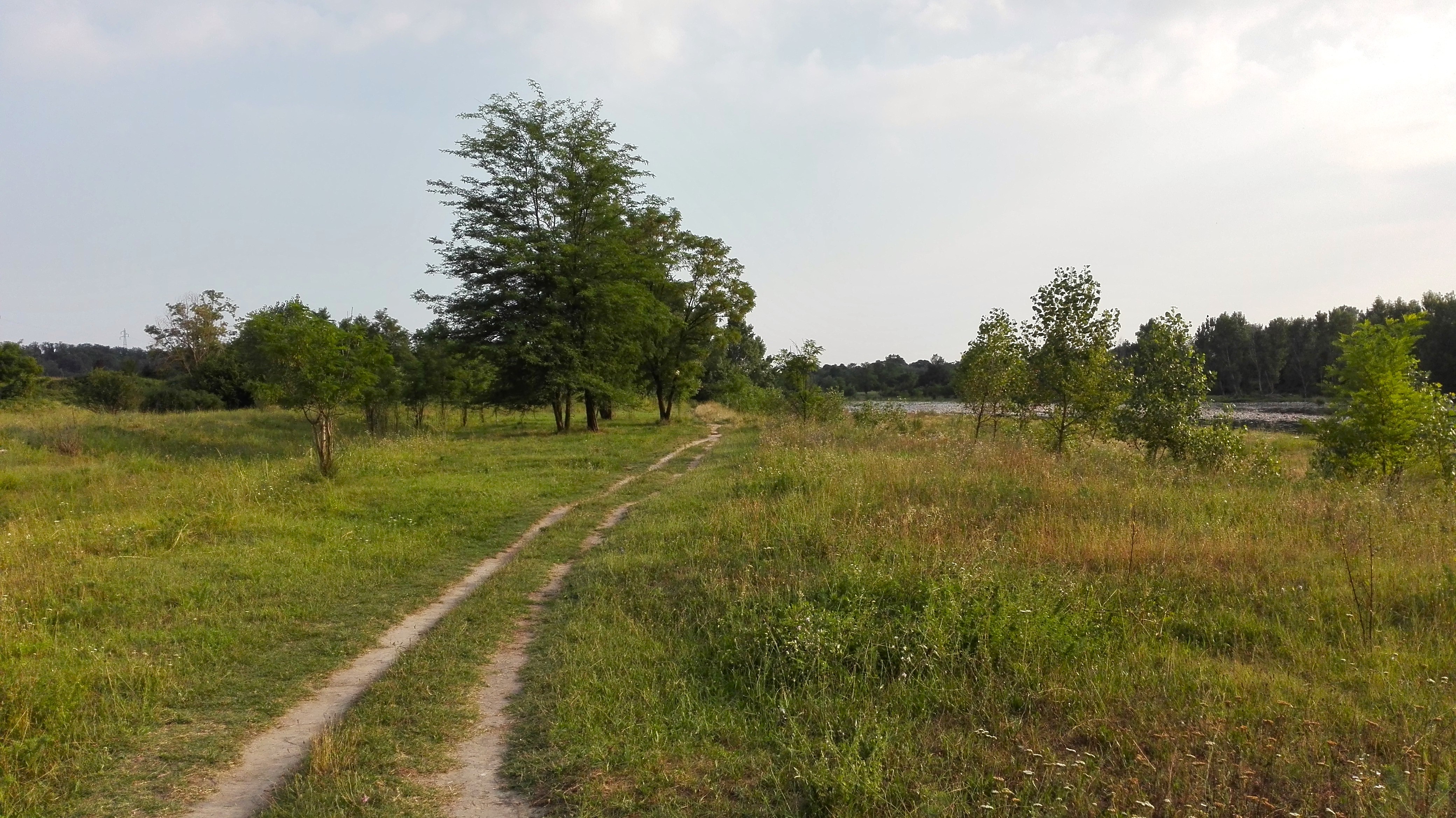 Parco del Basso Brembo (6)