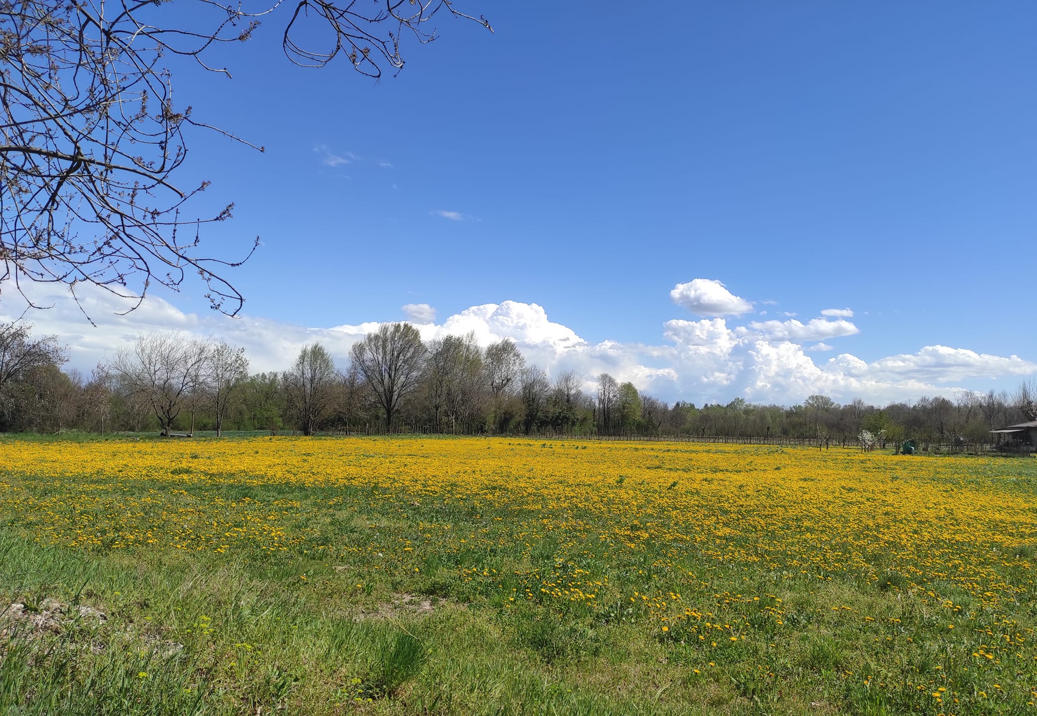 Parco del Basso Brembo (7)