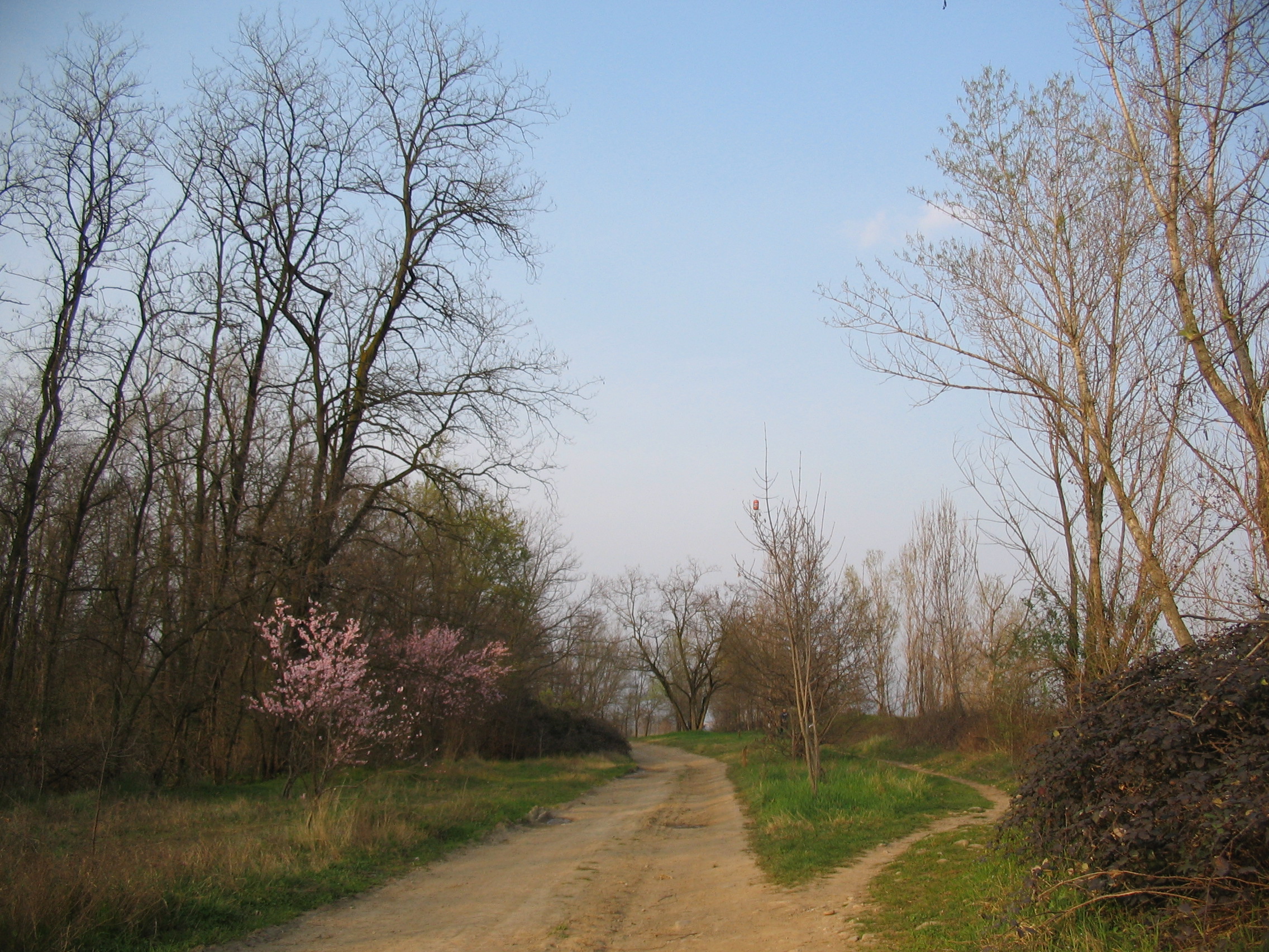 Parco del Basso Brembo (9)